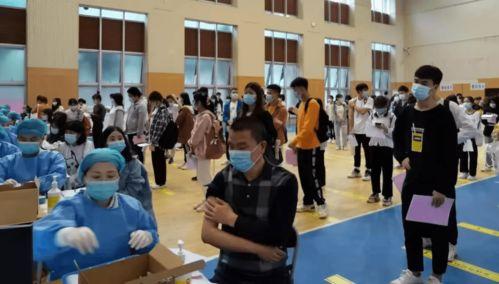 天津海鸥爆料最新消息,揭秘神秘项目背后的真相  第3张